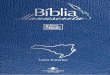 Bíblia Manuscrita - SC - Volume 6