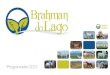 Brahman - calendário