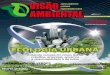 Revista Visao Ambiental - ed 09