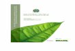 2011-ABR-26 Relatório Final Missão de Produção e Consumo Sustentáveis