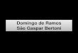 Domingo de Ramos - Sao Gaspar