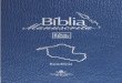 Bíblia Manuscrita - RO - Volume 5