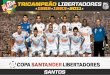 Pôster Santos Campeão da Libertadores