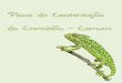 Plano de Conservação do Camaleão-Comum