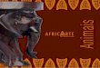 09-01_Catálogo Africarte Animais