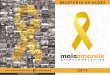 Relatório de Ações - Maio Amarelo - 2014