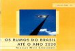 Os rumos do Brasil até o ano 2020