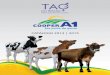 Catálogo Cooper A1 e Tag do Brasil