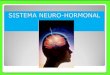 13 sistema neuro hormonal