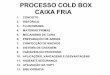 53111206 Processo Cold Box Apresenta Ao1