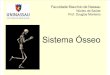 2-Anatomia Osteologia Sistema Osseo
