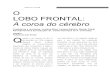 PROOF POSITIVE - Capitulo 12 - Lobo Frontal -