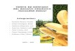 Monografia Perfil Del Banano