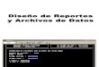1. El Diseño de Reportes y Archivos de Datos
