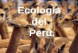 Ecologia Del Peru