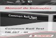 Manual de Instrucoes inyectores common rail