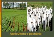 Agricultura e Pecuária.pdf