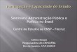 Seminário Administração Pública e Política no Brasil Centro de Estudos da ENSP – Fiocruz Celina Souza Pesquisadora do CRH/UFBA Rio de Janeiro, 17/11/2010
