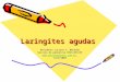 Laringites agudas Residente Luciana S. Machado Serviço de pediatria HRAS/SES/DF  18/9/2009