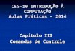 CES-10 INTRODUÇÃO À COMPUTAÇÃO Aulas Práticas – 2014 Capítulo III Comandos de Controle