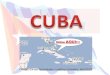 Estou AQUI !!!. Cuba era uma colônia da Espanha. Foi a primeira produtora mundial de açúcar e tabaco. Cuba era uma colônia da Espanha. Foi a primeira