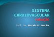 CORAÇÃO Prof. Dr. Marcelo R. Guerino. Características gerais Cardio = coração Vascular = vasos sanguíneos Conceito: Sistema que conduz o sangue para todas
