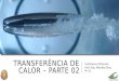 TRANSFERÊNCIA DE CALOR – PARTE 02 Fenômenos Difusivos Prof. Eng. Marcelo Silva, M. Sc