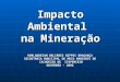 Impacto Ambiental na Mineração HORLANDEZAN BELIRDES NIPPES BRAGANÇA SECRETÁRIA MUNICIPAL DE MEIO AMBIENTE DE CACHOEIRO DE ITAPEMIRIM NOVEMBRO – 2006