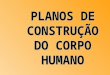 PLANOS DE CONSTRUÇÃO DO CORPO HUMANO FFFCMPA autor LJA aula nº 02.01