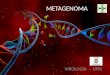 METAGENOMA VIROLOGIA - UFRJ. Metagenômica É a análise feita do genoma de uma comunidade de microrganismos,de um determinado ambiente, por técnicas modernas
