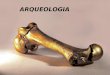 ARQUEOLOGIA É a ciência que estuda as sociedades humanas por meio de objetos que foram produzidos e utilizados no passado. O arqueólogo explora e analisa