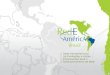 Rede Interamericana De Fundações e Ações Empresariais para o Desenvolvimento de Base
