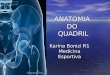ANATOMIA DO QUADRIL Karina Bonizi R1 Medicina Esportiva