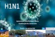 H1N1 Apresentação: Rafael Rodrigues Oliveira Coordenação: Dra. Carmen Lívia  Brasília, 6 de abril de 2015