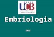 Embriologia 2015. I- Introdu§£o   Embriologia Humana