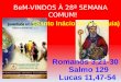 BeM-VINDOS À 28ª SEMANA COMUM! (Santo Inácio de Antioquia)