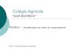 Colégio Agrícola “José Bonifácio” Redes – Classificação de redes de computadores Prof. Carlos Eduardo Caraski