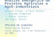 Análise Emergética de Projetos Agrícolas e Agro-industriais Enrique Ortega 1 & Paulo Beskow 2 (1) Unicamp (Campinas) (2) UFSCar (Araras) São Paulo, Brasil