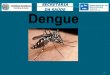 1. O que é a Dengue? Doença infecciosa aguda, transmitida no Brasil pelo mosquito Aedes aegypti, é provável que tenha chegado junto com os navios negreiros