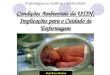 Condições Ambientais da UTIN: Implicações para o Cuidado de Enfermagem Prof. Bruno Barbosa Enfermagem na Infância e Adolescência