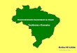 21 de Janeiro de 2003 Desenvolvimento Sustentável no Brasil Tendências e Exemplos
