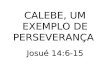 CALEBE, UM EXEMPLO DE PERSEVERANÇA Josué 14:6-15