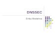 DNSSEC Erika Medeiros. DNS – Domain Name System O Sistema de Nomes de Domínio é um banco de dados distribuido. Isso permite um controle local dos segmentos