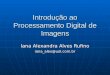 Introdução ao Processamento Digital de Imagens Iana Alexandra Alves Rufino iana_alex@uol.com.br