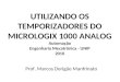 UTILIZANDO OS TEMPORIZADORES DO MICROLOGIX 1000 ANALOG Automação Engenharia Mecatrônica - UNIP 2010 Prof. Marcos Dorigão Manfrinato