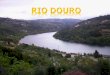 O rio Douro foi sempre um rio de difícil navegação devido ás regiões montanhosas que atravessa e ás variações de caudal nas diferentes estações do ano