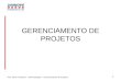 Prof. Mario R.Santos – Administração – Gerenciamento de Projetos 1 GERENCIAMENTO DE PROJETOS
