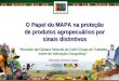 O Papel do MAPA na proteção de produtos agropecuários por sinais distintivos '‘Reunião da Câmara Setorial do Café/ Grupo de Trabalho sobre de Indicação