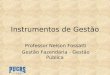 Gestão Pública Instrumentos de Gestão Professor Nelson Fossatti Gestão Fazendária - Gestão Pública