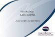 Workshop Seis Sigma José Goldfreind (SETEC). Setec Consulting Group Um dos maiores grupos de consultoria, treinamento e jogos empresariais da América